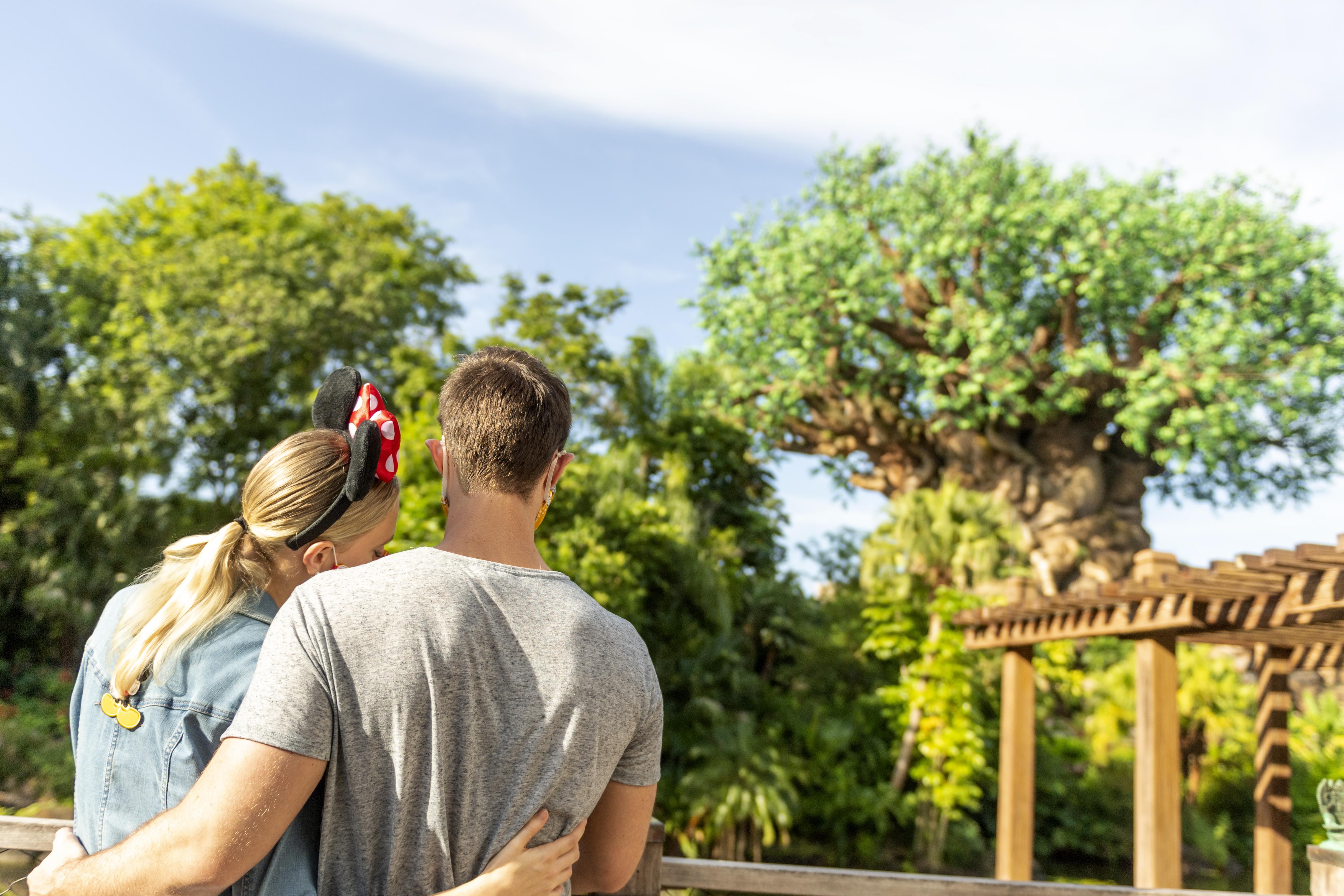 Disney'S Animal Kingdom Lodge Four Corners Exterior foto