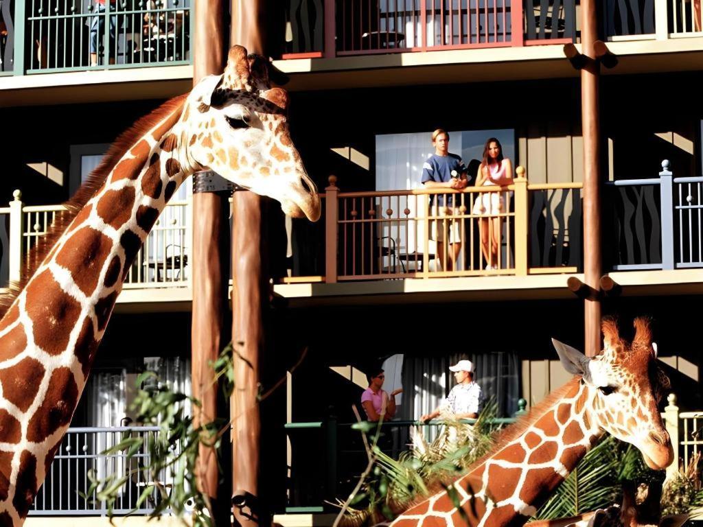 Disney'S Animal Kingdom Lodge Four Corners Exterior foto